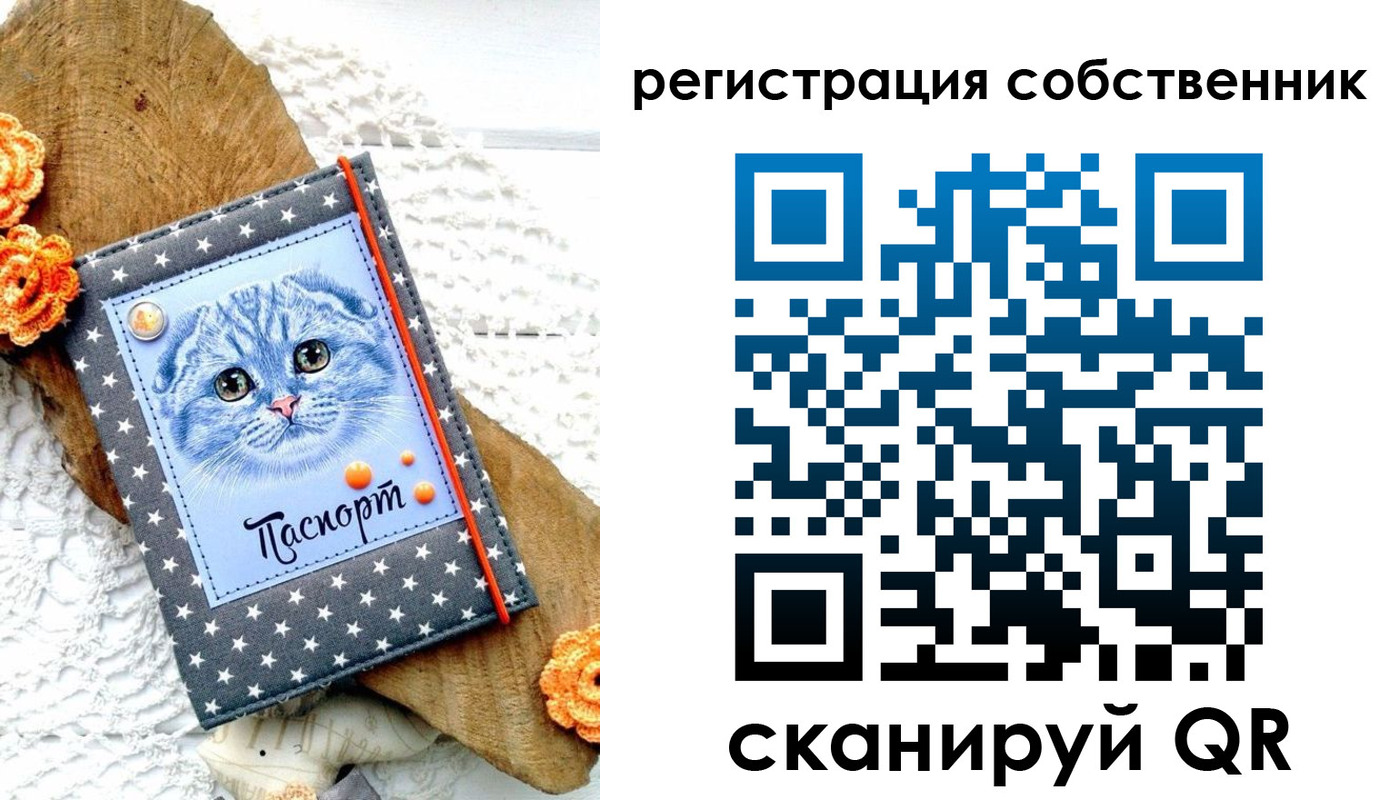 прописка для работы в Лосино-Петровском